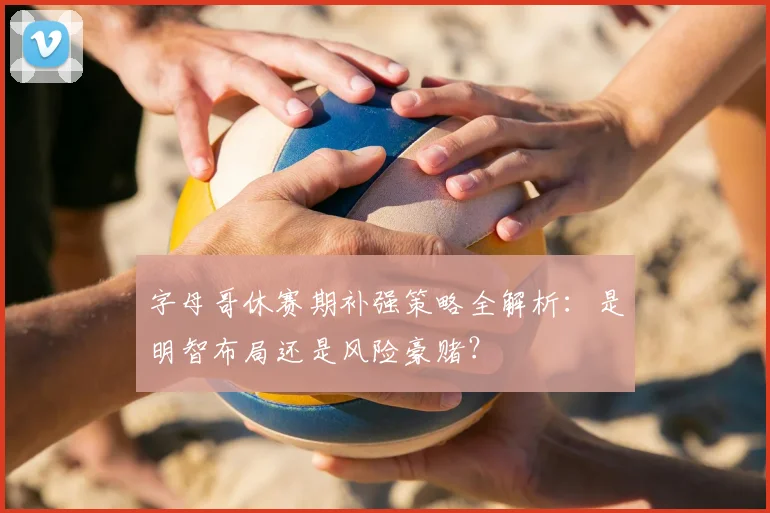 字母哥休赛期补强策略全解析:是明智布局还是风险豪赌?